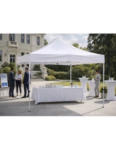Carpa Máster 4x4m Blanca o negra con bolsa de...